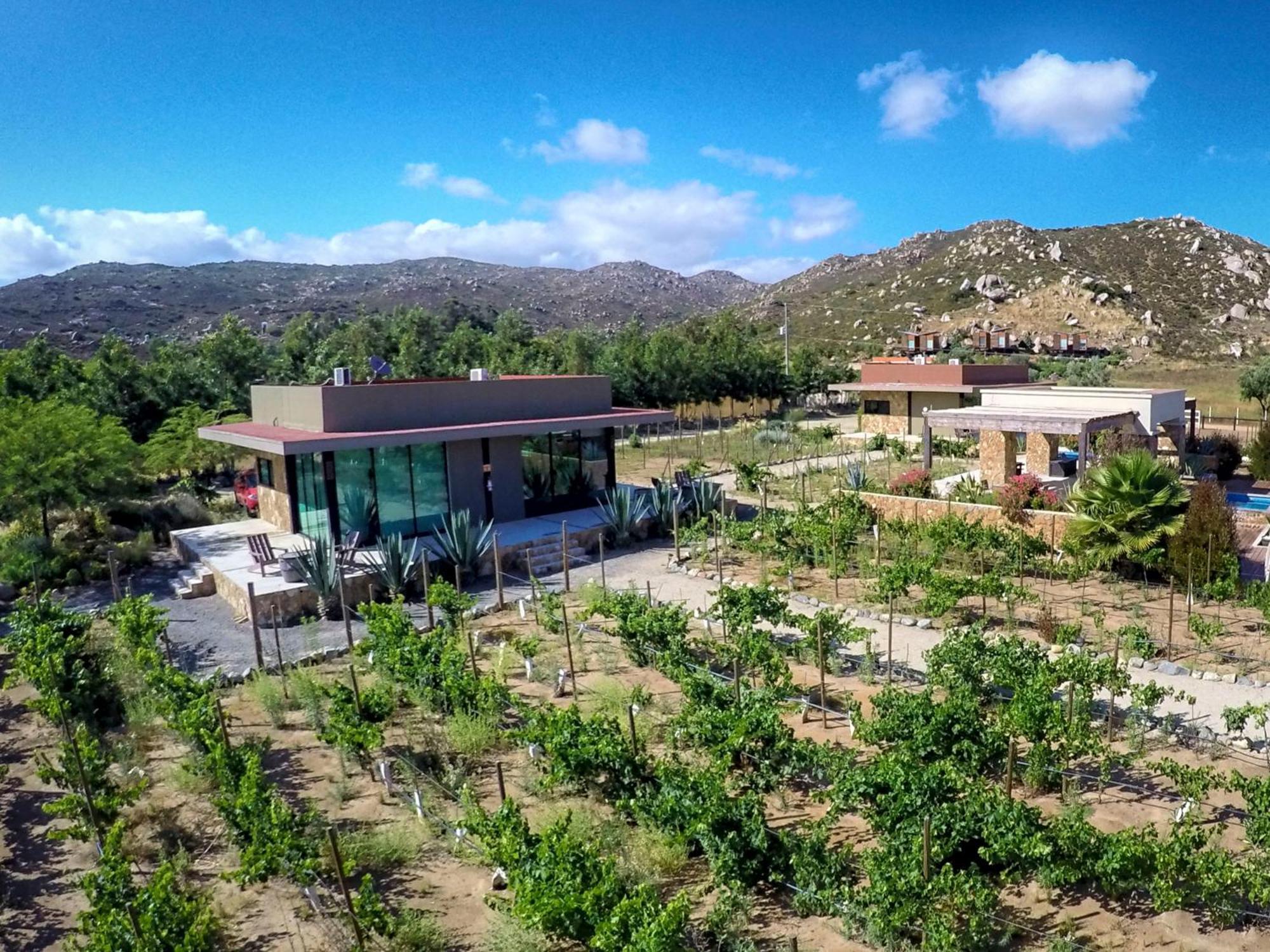 Hotel Boutique Valle De Guadalupe & Spa Oda fotoğraf