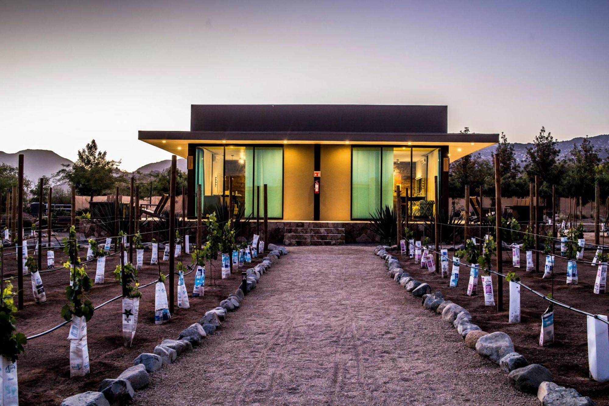 Hotel Boutique Valle De Guadalupe & Spa Oda fotoğraf